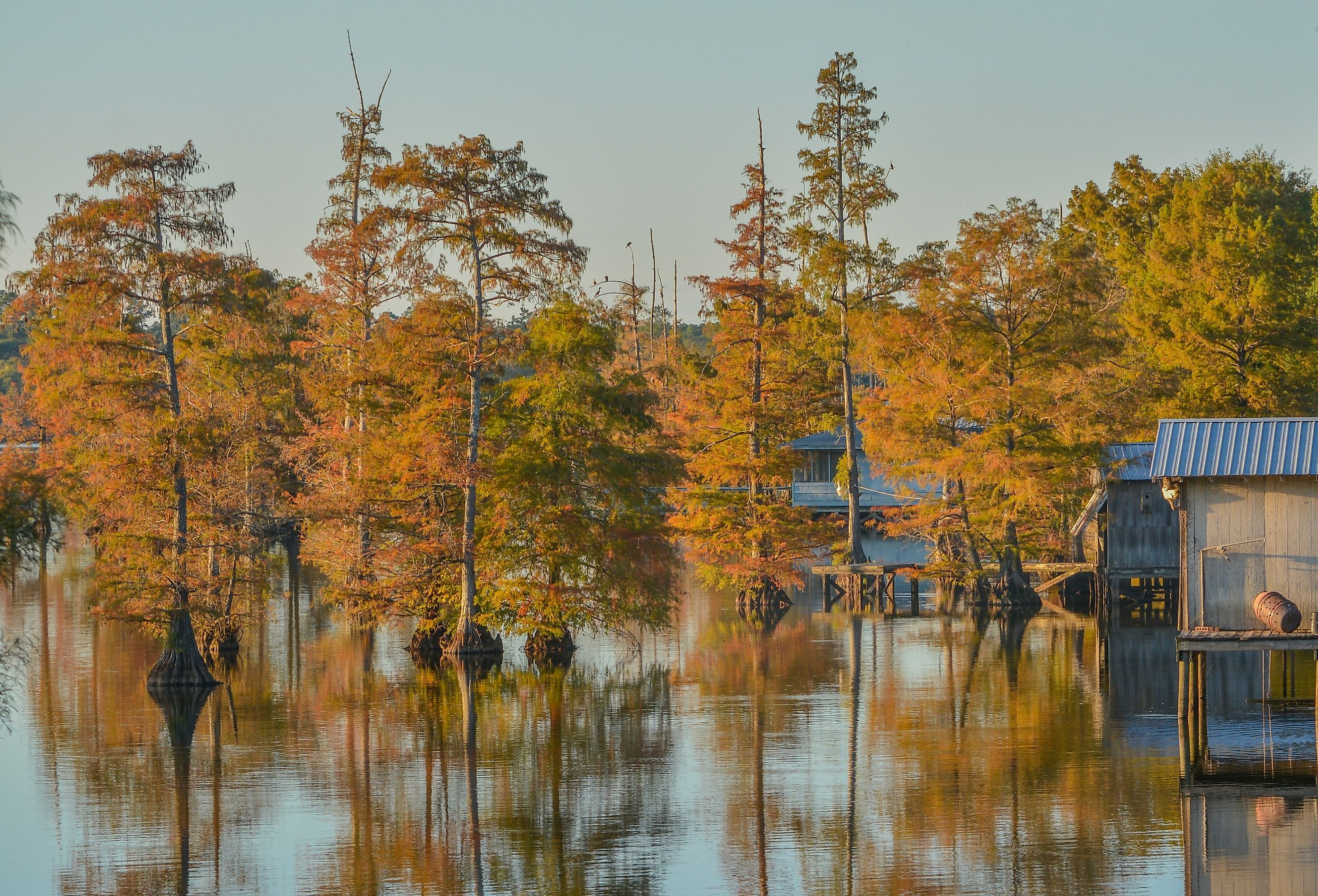 7 Must-Haves to Make the Most of Fall in Louisiana