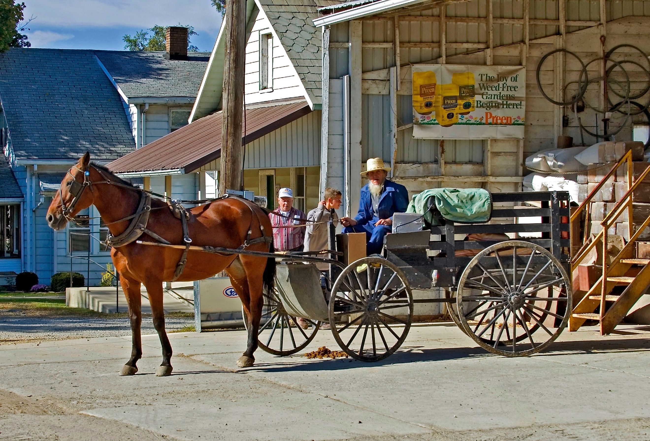 Amish couple in horse and buggy in Shipshewana Indiana. Image credit  Dennis MacDonald via Shutterstock