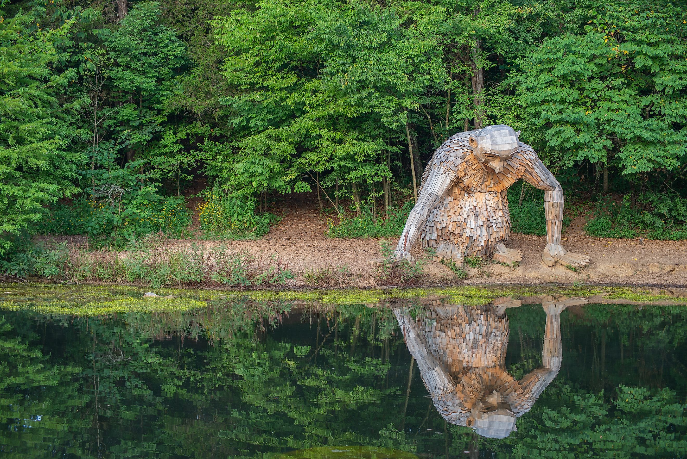 Little Nis Forest Giant in Bernheim Forest in Kentucky. Editorial credit: Trey Thomas / Shutterstock.com