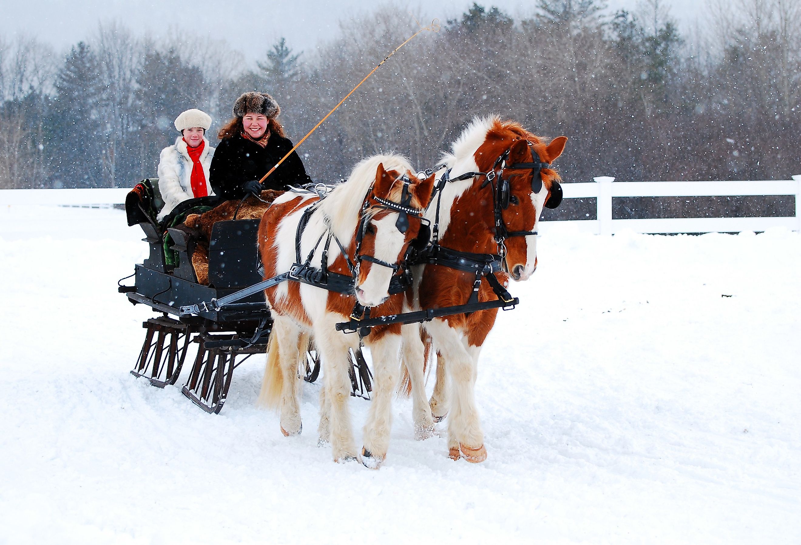 Winter sleigh ride through the countryside during a snow fall near Christmas in Stockbridge, Massachusetts. Image credit James Kirkikis via Shutterstock