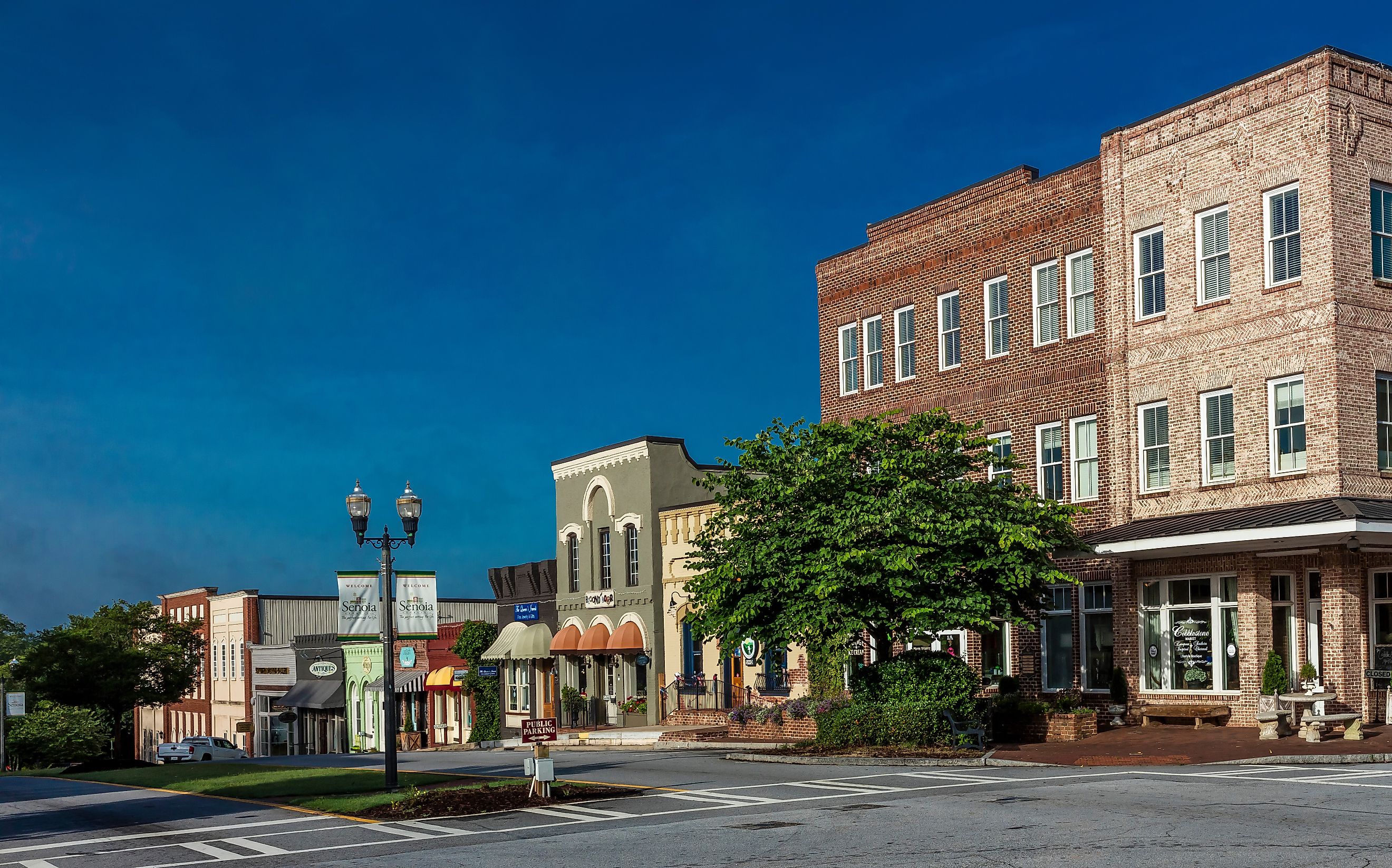 street view in Senoia, Georgia