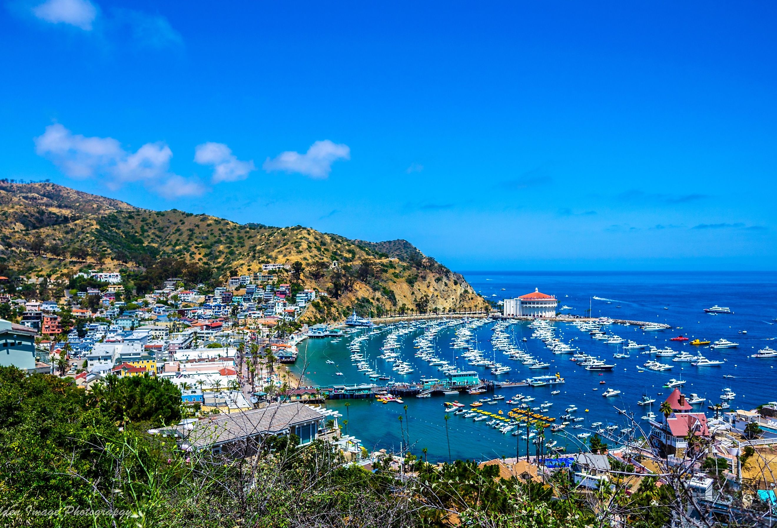 Overview of the harbor in Avalon on Santa Catalina Island.