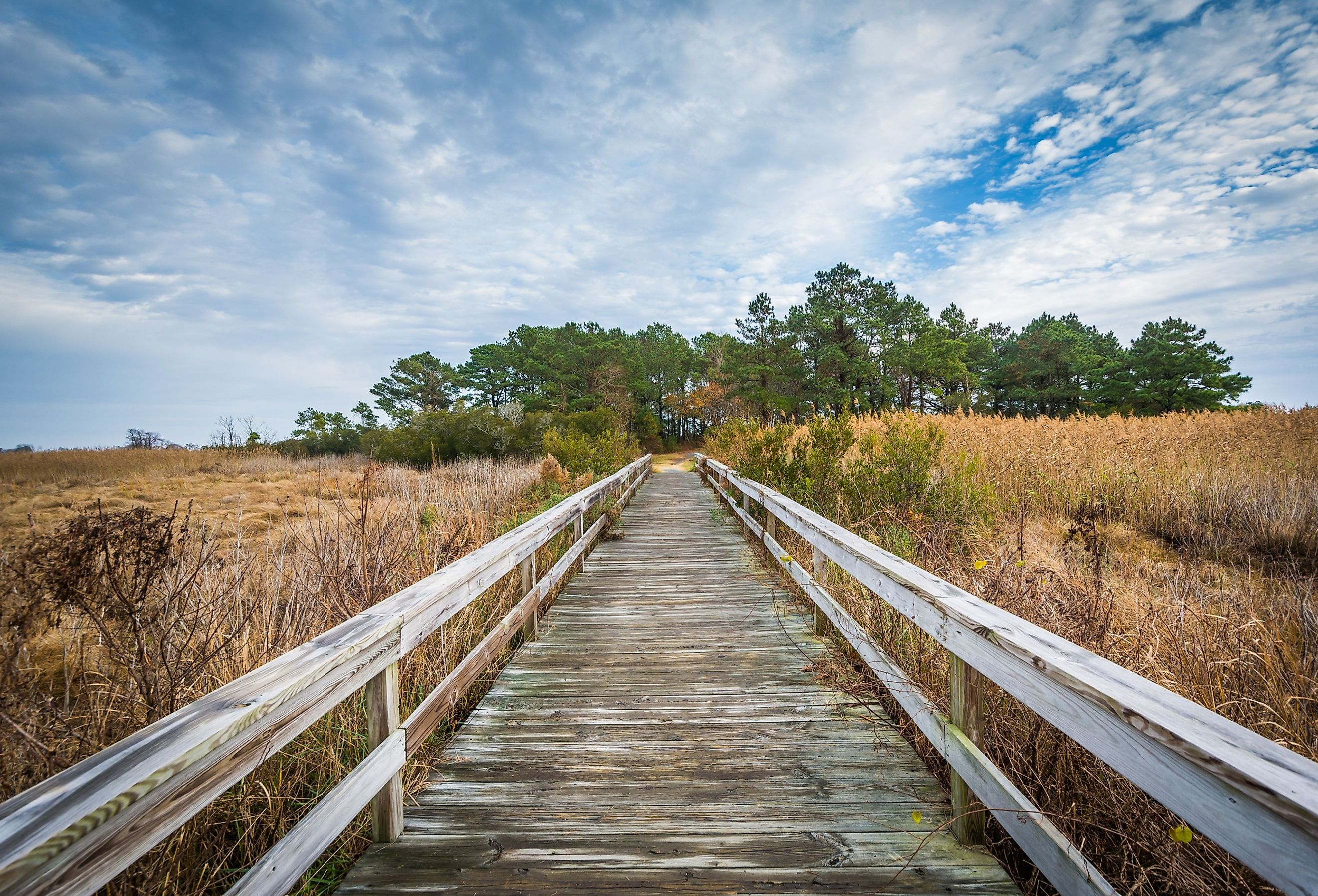 Boardwalk trail at Chincoteague Island, Virginia.