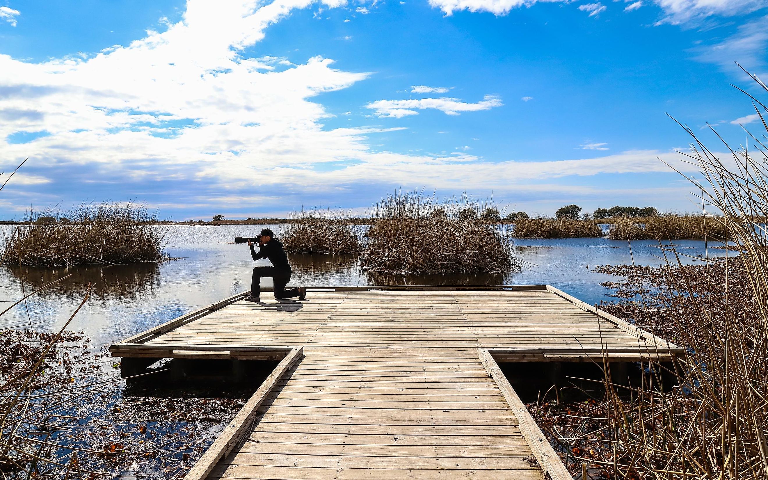 Fontainebleau State Park, Mandeville, Louisiana - Young photographer on observation platform, Alligator Marsh Boardwalk. Editorial credit: Wirestock Creators / Shutterstock.com