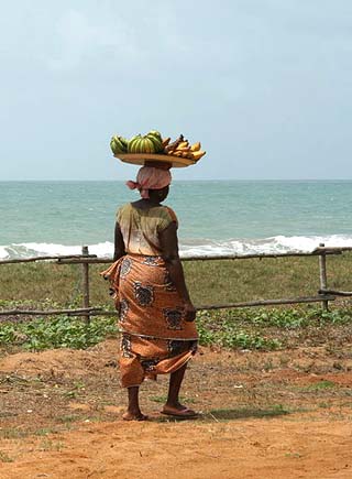 Benin Land Statistics - World Atlas