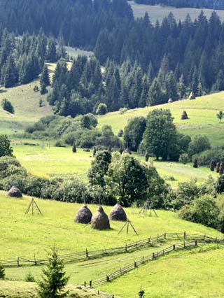 Geography of Ukraine, Landforms - World Atlas