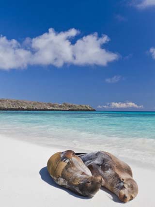 Galapagos Islands Land Statistics - World Atlas