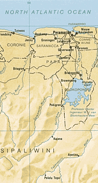 Suriname Maps Including Outline and Topographical Maps - Worldatlas.com