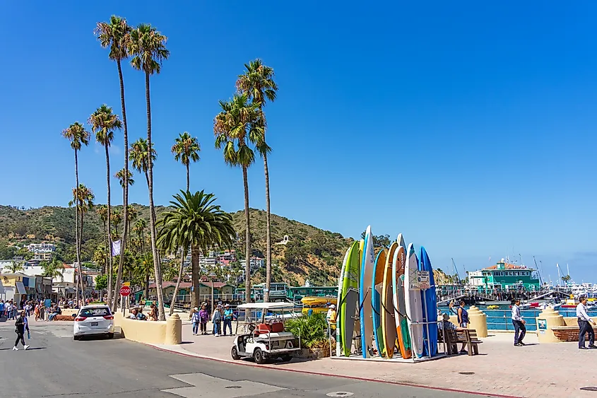 Avalon, California.
