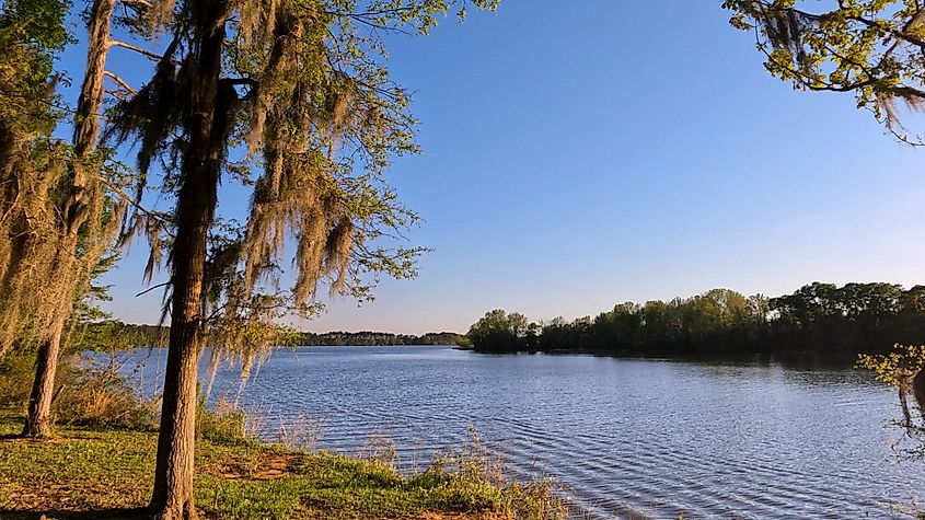 Florence Marina State Park in Georgia.
